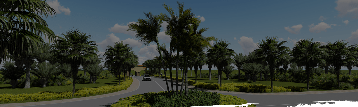 Screenshot_2019-01-10 About – Shandonia.png