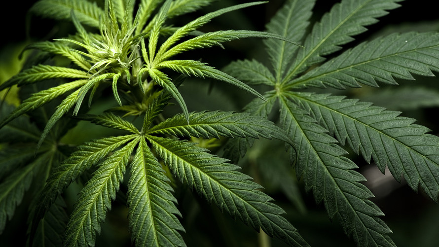 MW-HD400_mariju_20190205224207_ZH